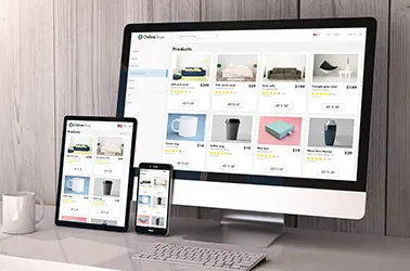 SHOWCASE SITE AND E-COMMERCE